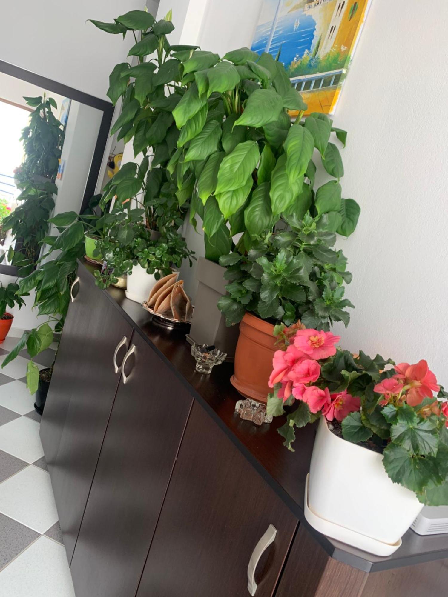 Guesthouse Jasmine Ksamil Zewnętrze zdjęcie